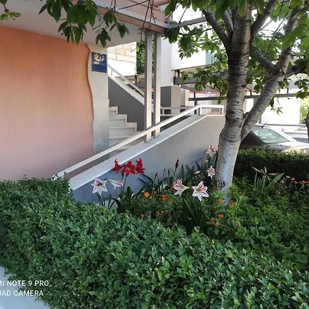 Mili Rogoznica Apartment *
